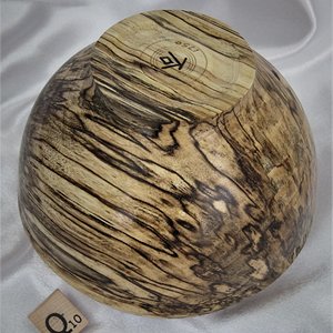 1750 Spalted Hackberry.