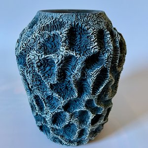 Coral Vessel