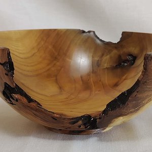 9" Mulberry Bowl