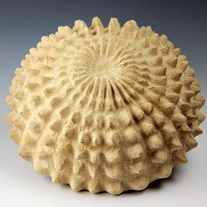 Urchin Bowl - Bottom