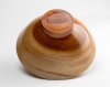 camphor bowl-2.jpg