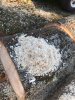 white chain saw dust - 2.jpg