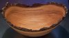 Natural edge Elm bowl.jpg