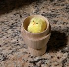 egg box 2.jpg