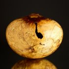 Sculpture for Sale - Ultra Gloss Fine Line Spalted Dogwood Hollow Form, 419.jpg