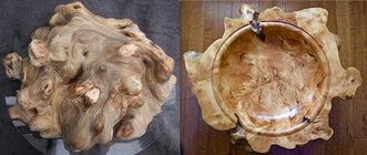 Willow burl inside and out.jpg