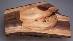 Black Walnut crotch with staple.jpg