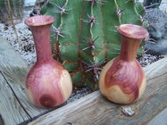 Juniper bud vases.jpg