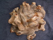 Willow burl.jpg