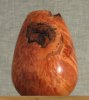 Box Elder Burl Dyed 5 x 3.75sw.jpg