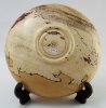 1165-4 Spalted Tamarind.JPG