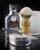 SOTD_4469a.jpg