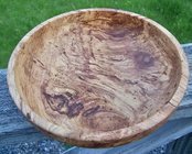 Spalted Apple 1.jpg