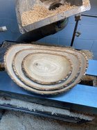 Nested White Oak.jpg