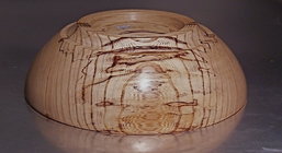 Spalted White Elm.jpg