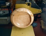 Curly Ambrosia Maple Front View Almost Done.jpg