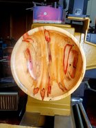 Box Elder In Progress after TruOil.jpg