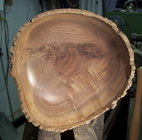 Nat. edge Walnut crotch inside.jpg