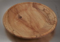 Hop Hornbeam plate.jpg