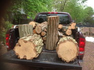 Black Locust logs.jpg