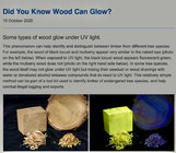 Wood that glows under UV light.jpeg