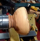 Chinese Elm Live Edge Emerging Bowl.jpg