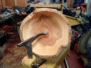 Chinese Elm Live Edge Uneven Bark Bowl.jpg