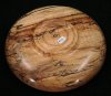 1126 Curly Spalted Maple.jpg