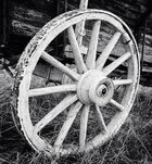 old heavy wagen wheel.jpg