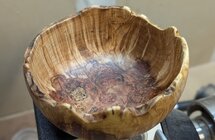 SpaltedMapleBurl.jpg