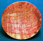 Manitoba Maple red.jpg