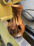 IMG_2600 Burl 1.jpg