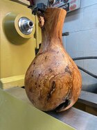 IMG_2602 Burl 3.jpg