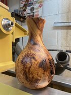 IMG_2603 Burl 4.jpg