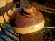 Black Walnut Live Edge Bottom.jpg