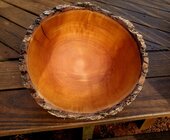 Curly Bradford Pear Live Edge in Progress Interior.jpg