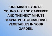 photographing-vegies.jpg