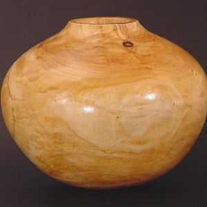 White Poplar Pot 5062