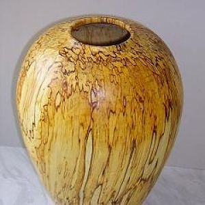 Siver Birch vase