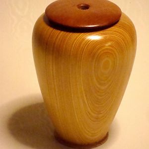 Cypress Vase