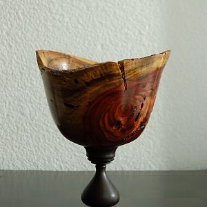 box elder wood