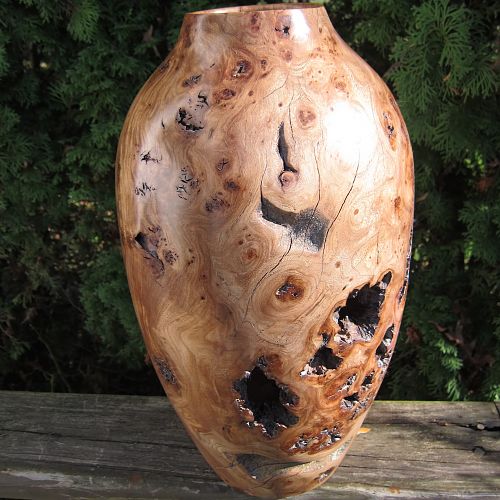 Red Elm Burl Vase