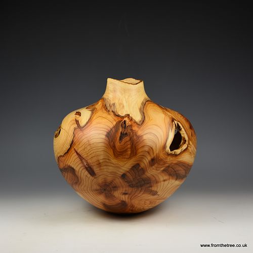 Natural edge yew hollow form