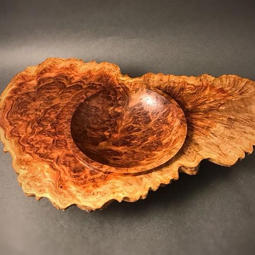 red coolibah winged bowl
