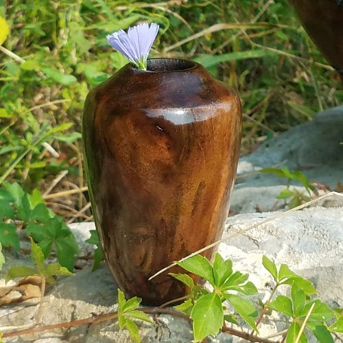 BW Root wood vase #01