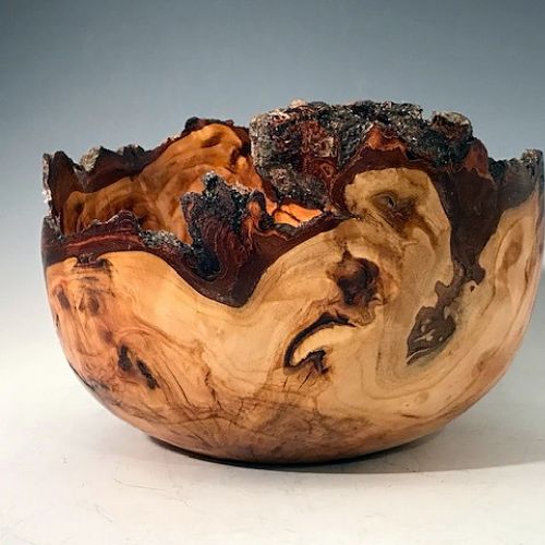Willow Burl view 2