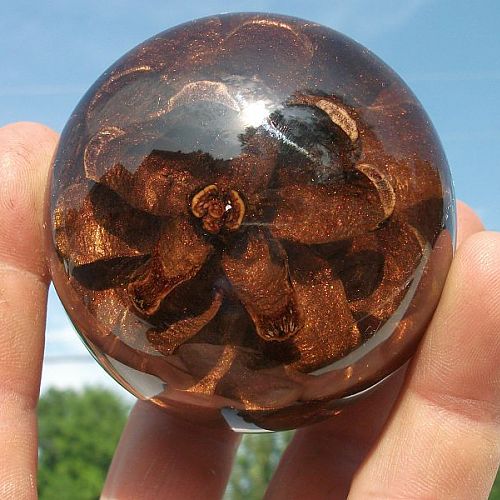 Pinecone paperweight