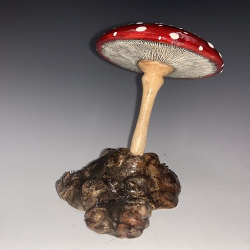 Mushroom Spin Top