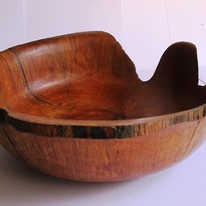 Sheoak fruit bowl