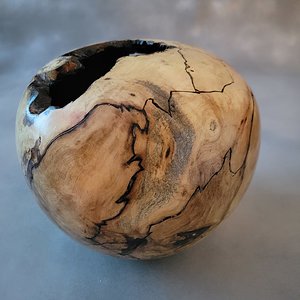 Spalted Maple Burl